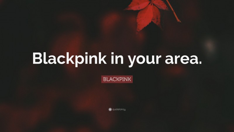 BLACKPINK Quote: “Blackpink in your area.”
