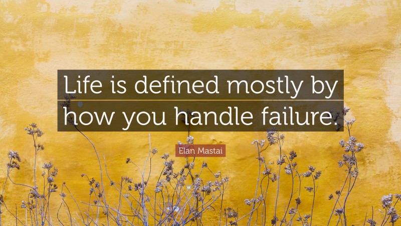 Elan Mastai Quote: “Life is defined mostly by how you handle failure.”