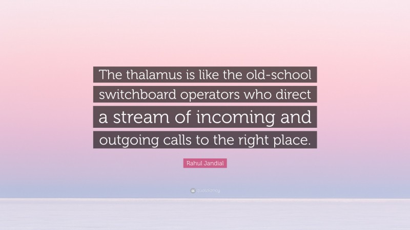 Rahul Jandial Quote: “The thalamus is like the old-school switchboard operators who direct a stream of incoming and outgoing calls to the right place.”