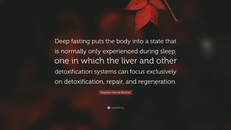 Stephen Harrod Buhner Quote: “Deep fasting puts the body into a state that is normally only experienced during sleep, one in which the liver and other detoxification systems can focus exclusively on detoxification, repair, and regeneration.”