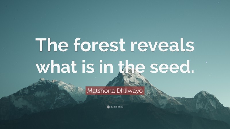 Matshona Dhliwayo Quote: “The forest reveals what is in the seed.”