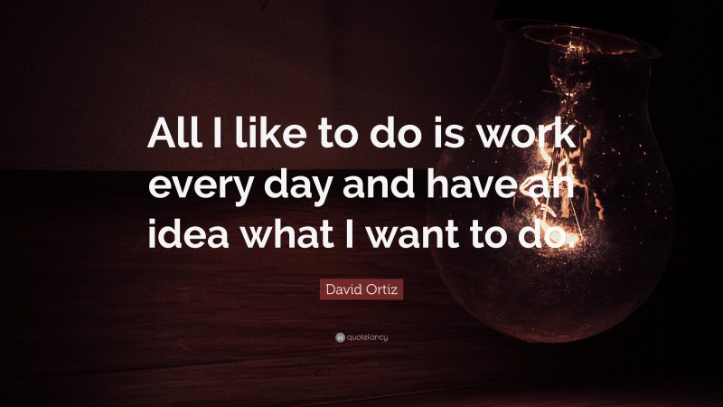 David Ortiz Quote: “All I like to do is work every day and have an idea what I want to do.”