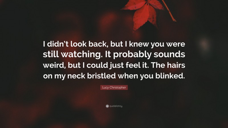 Lucy Christopher Quote: “I didn’t look back, but I knew you were still watching. It probably sounds weird, but I could just feel it. The hairs on my neck bristled when you blinked.”