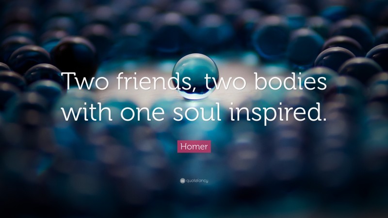 Homer Quote: “Two friends, two bodies with one soul inspired.”