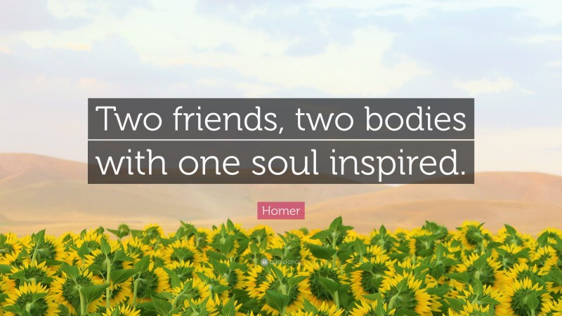 Homer Quote: “Two friends, two bodies with one soul inspired.”