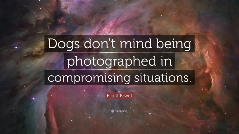 Elliott Erwitt Quote: “Dogs don’t mind being photographed in compromising situations.”