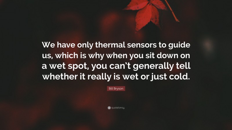 Bill Bryson Quote: “We have only thermal sensors to guide us, which is why when you sit down on a wet spot, you can’t generally tell whether it really is wet or just cold.”