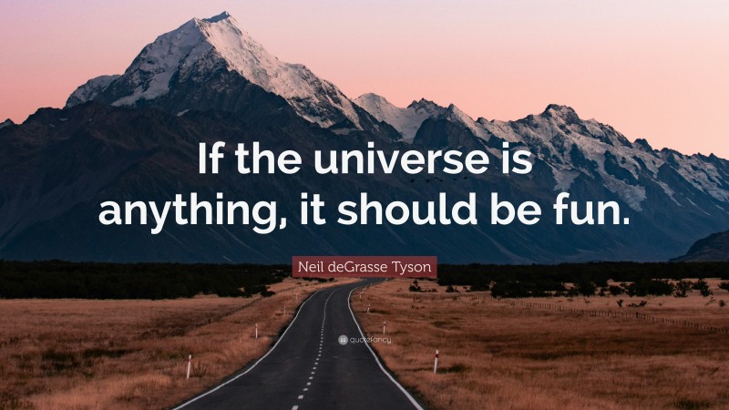 Neil deGrasse Tyson Quote: “If the universe is anything, it should be fun.”
