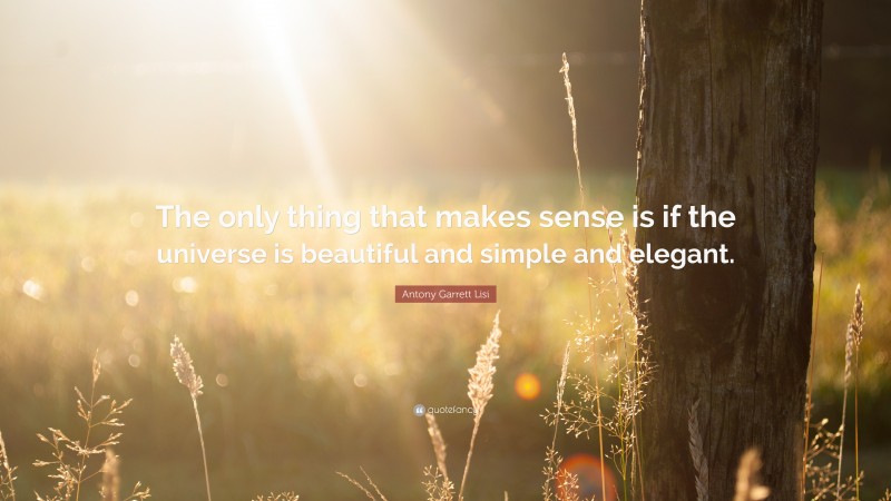 Antony Garrett Lisi Quote: “The only thing that makes sense is if the universe is beautiful and simple and elegant.”