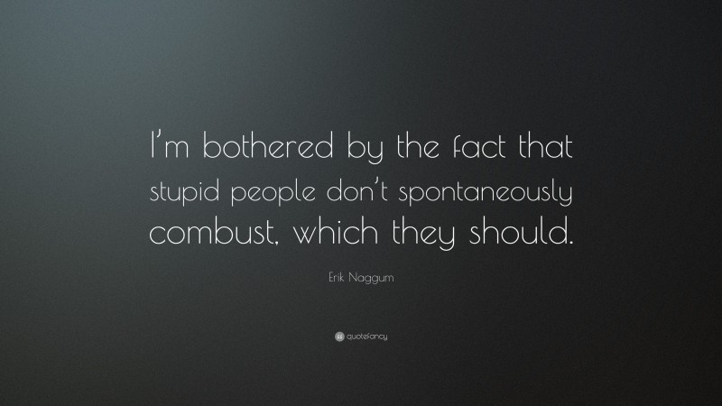 Erik Naggum Quote: “I’m bothered by the fact that stupid people don’t spontaneously combust, which they should.”