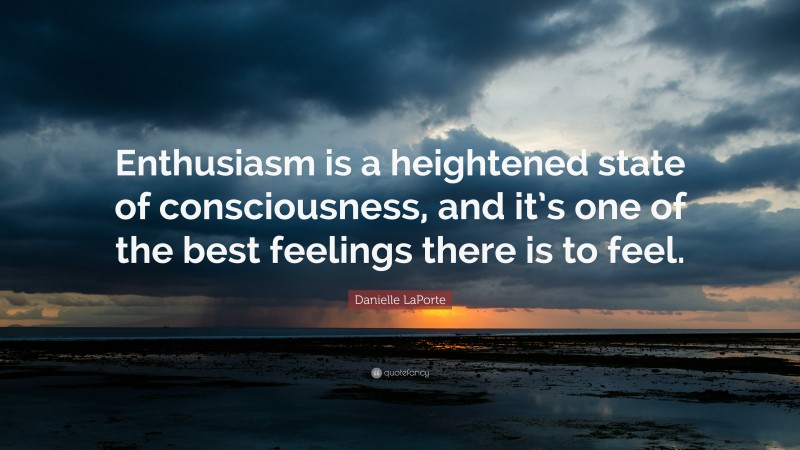 Danielle LaPorte Quote: “Enthusiasm is a heightened state of consciousness, and it’s one of the best feelings there is to feel.”