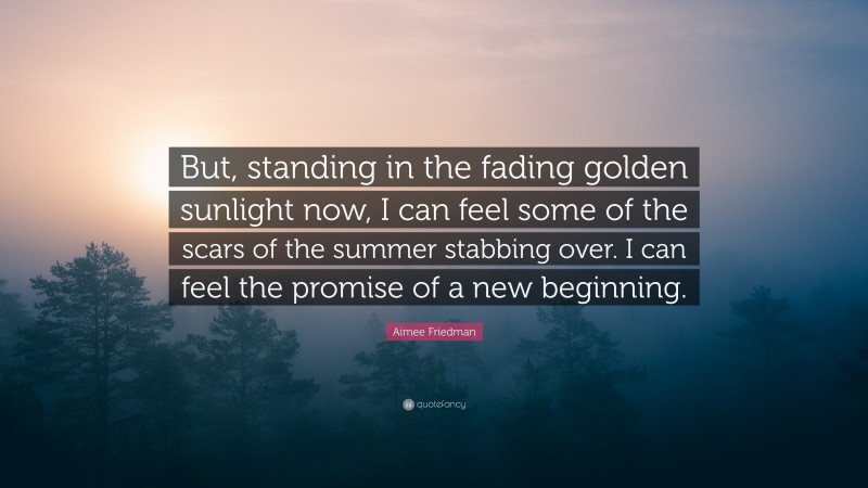 Aimee Friedman Quote: “But, standing in the fading golden sunlight now, I can feel some of the scars of the summer stabbing over. I can feel the promise of a new beginning.”