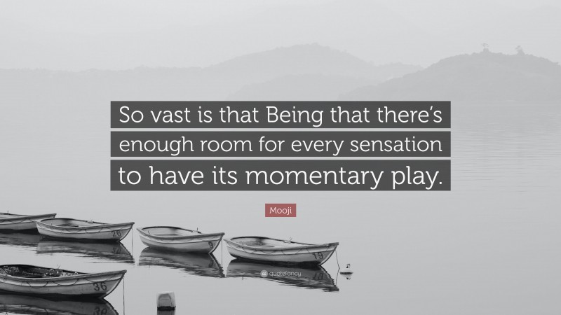 Mooji Quote: “So vast is that Being that there’s enough room for every sensation to have its momentary play.”