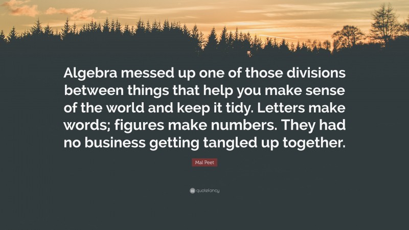 Mal Peet Quote: “Algebra messed up one of those divisions between things that help you make sense of the world and keep it tidy. Letters make words; figures make numbers. They had no business getting tangled up together.”