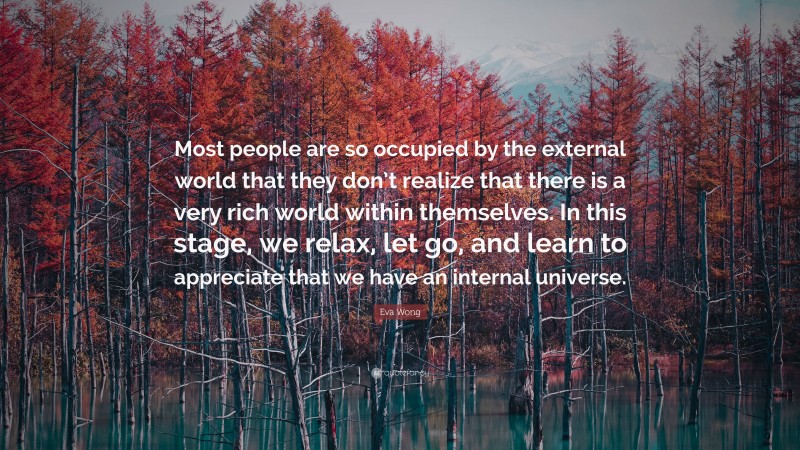 Eva Wong Quote: “Most people are so occupied by the external world that they don’t realize that there is a very rich world within themselves. In this stage, we relax, let go, and learn to appreciate that we have an internal universe.”