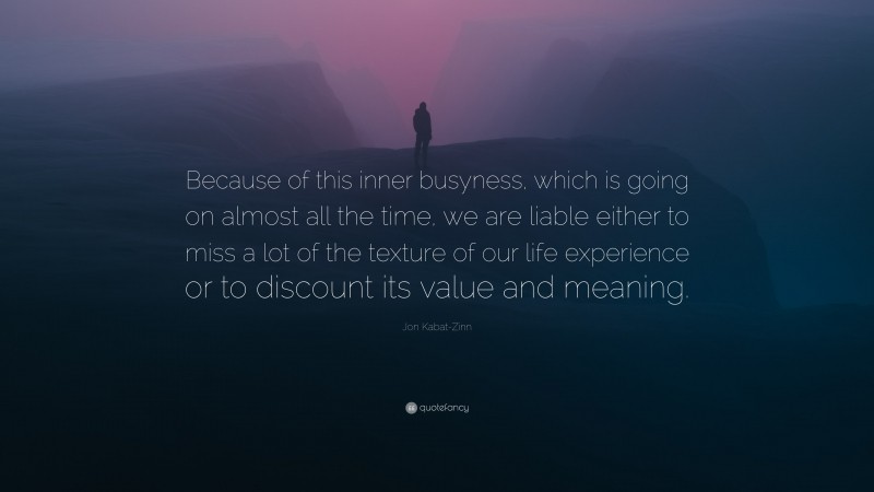 Jon Kabat-Zinn Quote: “Because of this inner busyness, which is going on almost all the time, we are liable either to miss a lot of the texture of our life experience or to discount its value and meaning.”