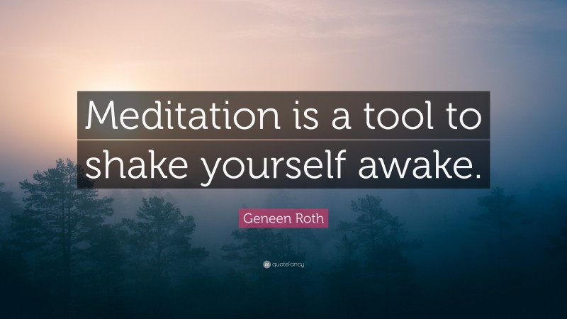 Geneen Roth Quote: “Meditation is a tool to shake yourself awake.”