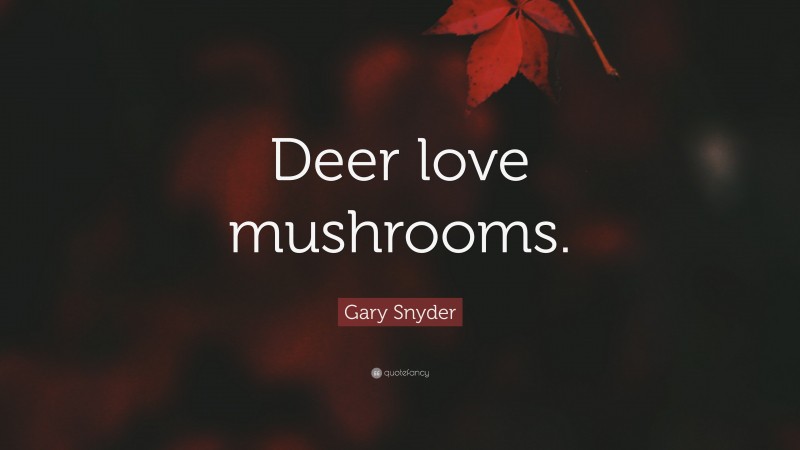Gary Snyder Quote: “Deer love mushrooms.”