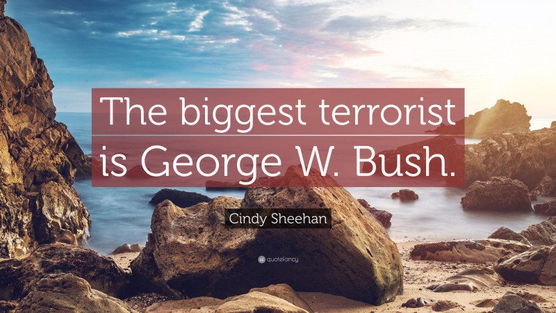 Cindy Sheehan Quote: “The biggest terrorist is George W. Bush.”