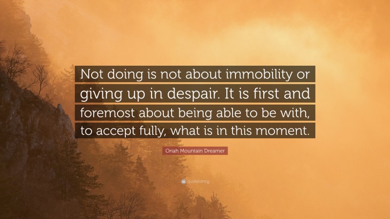Oriah Mountain Dreamer Quote: “Not doing is not about immobility or giving up in despair. It is first and foremost about being able to be with, to accept fully, what is in this moment.”