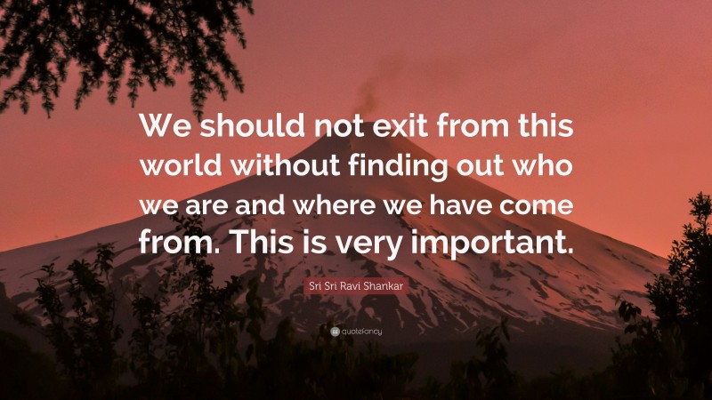 Sri Sri Ravi Shankar Quote: “We should not exit from this world without finding out who we are and where we have come from. This is very important.”
