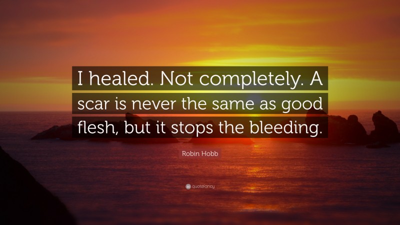 Robin Hobb Quote: “I healed. Not completely. A scar is never the same as good flesh, but it stops the bleeding.”