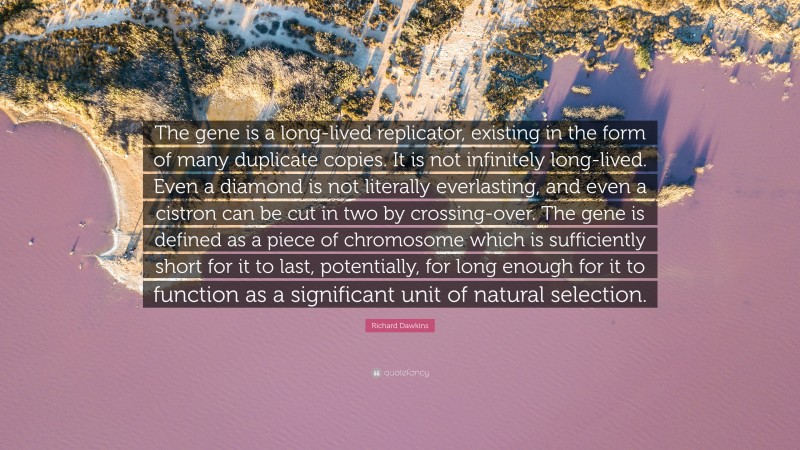 Richard Dawkins Quote: “The gene is a long-lived replicator, existing in the form of many duplicate copies. It is not infinitely long-lived. Even a diamond is not literally everlasting, and even a cistron can be cut in two by crossing-over. The gene is defined as a piece of chromosome which is sufficiently short for it to last, potentially, for long enough for it to function as a significant unit of natural selection.”