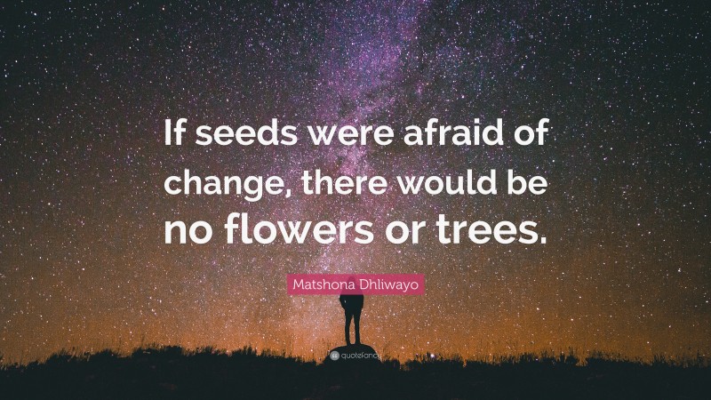 Matshona Dhliwayo Quote: “If seeds were afraid of change, there would be no flowers or trees.”