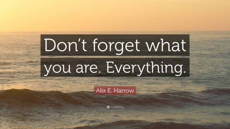 Alix E. Harrow Quote: “Don’t forget what you are. Everything.”
