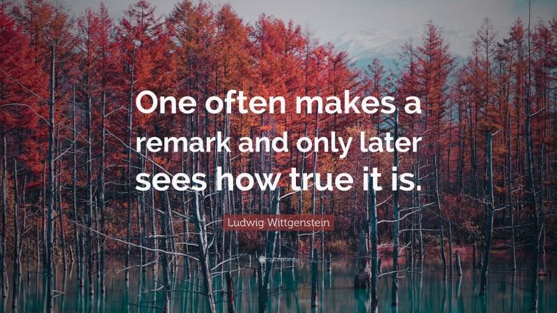 Ludwig Wittgenstein Quote: “One often makes a remark and only later sees how true it is.”