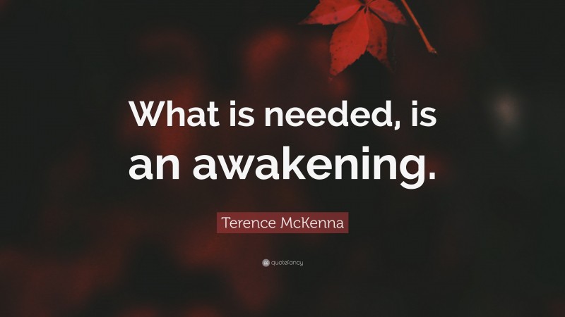 Terence McKenna Quote: “What is needed, is an awakening.”