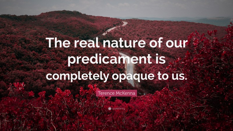 Terence McKenna Quote: “The real nature of our predicament is completely opaque to us.”