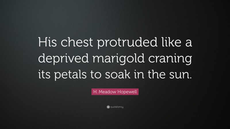 H. Meadow Hopewell Quote: “His chest protruded like a deprived marigold craning its petals to soak in the sun.”