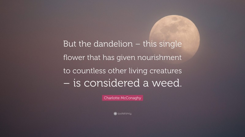 Charlotte McConaghy Quote: “But the dandelion – this single flower that has given nourishment to countless other living creatures – is considered a weed.”