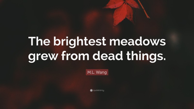 M.L. Wang Quote: “The brightest meadows grew from dead things.”