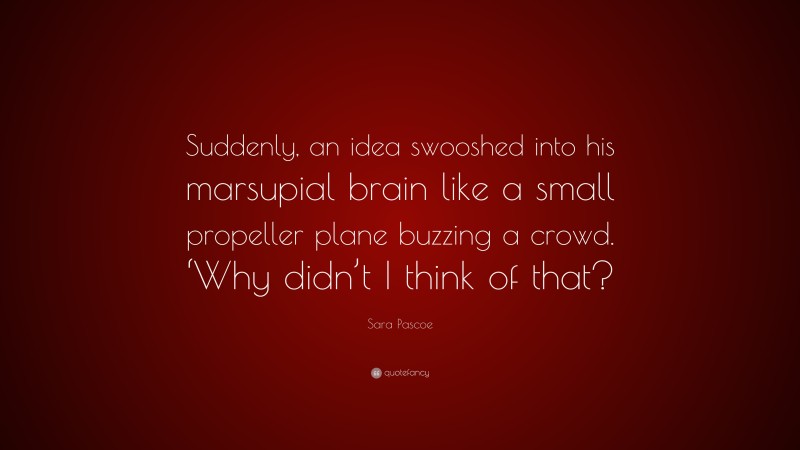 Sara Pascoe Quote: “Suddenly, an idea swooshed into his marsupial brain like a small propeller plane buzzing a crowd. ‘Why didn’t I think of that?”