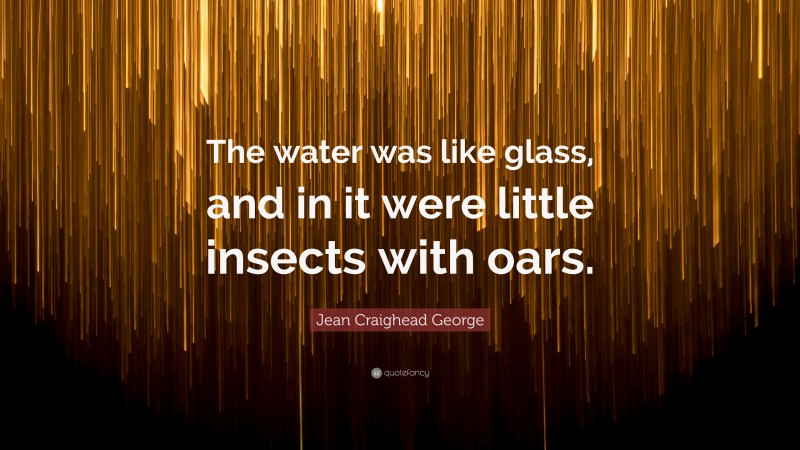 Jean Craighead George Quote: “The water was like glass, and in it were little insects with oars.”