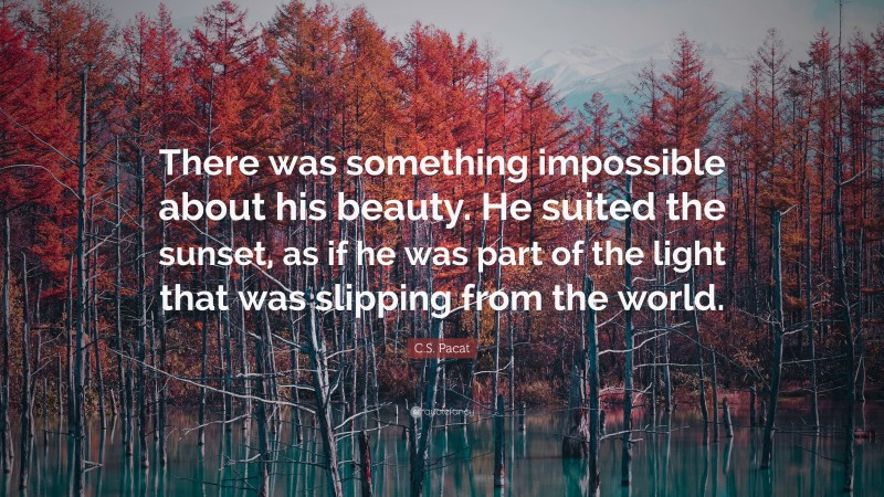 C.S. Pacat Quote: “There was something impossible about his beauty. He suited the sunset, as if he was part of the light that was slipping from the world.”