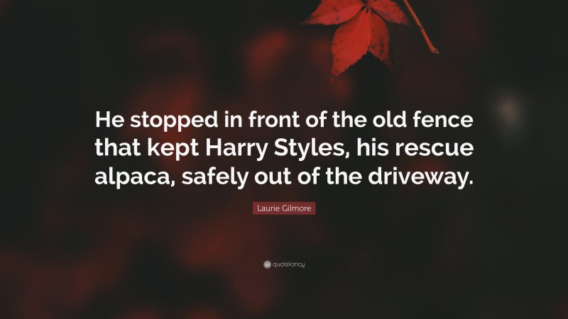 Laurie Gilmore Quote: “He stopped in front of the old fence that kept Harry Styles, his rescue alpaca, safely out of the driveway.”