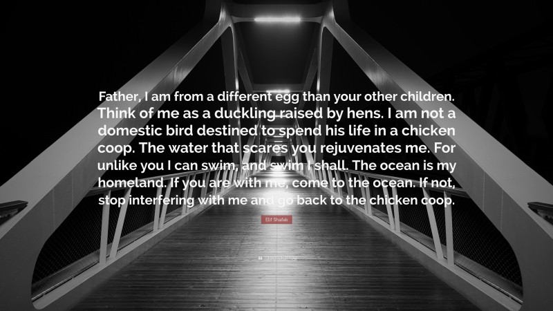 Elif Shafak Quote: “Father, I am from a different egg than your other children. Think of me as a duckling raised by hens. I am not a domestic bird destined to spend his life in a chicken coop. The water that scares you rejuvenates me. For unlike you I can swim, and swim I shall. The ocean is my homeland. If you are with me, come to the ocean. If not, stop interfering with me and go back to the chicken coop.”