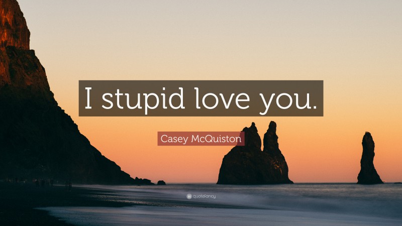Casey McQuiston Quote: “I stupid love you.”