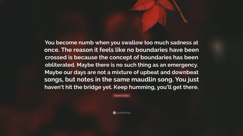 Sloane Crosley Quote: “You become numb when you swallow too much sadness at once. The reason it feels like no boundaries have been crossed is because the concept of boundaries has been obliterated. Maybe there is no such thing as an emergency. Maybe our days are not a mixture of upbeat and downbeat songs, but notes in the same maudlin song. You just haven’t hit the bridge yet. Keep humming, you’ll get there.”