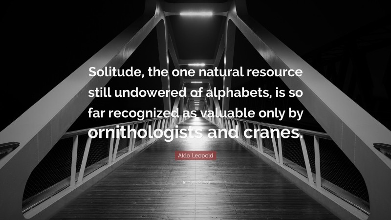 Aldo Leopold Quote: “Solitude, the one natural resource still undowered of alphabets, is so far recognized as valuable only by ornithologists and cranes.”