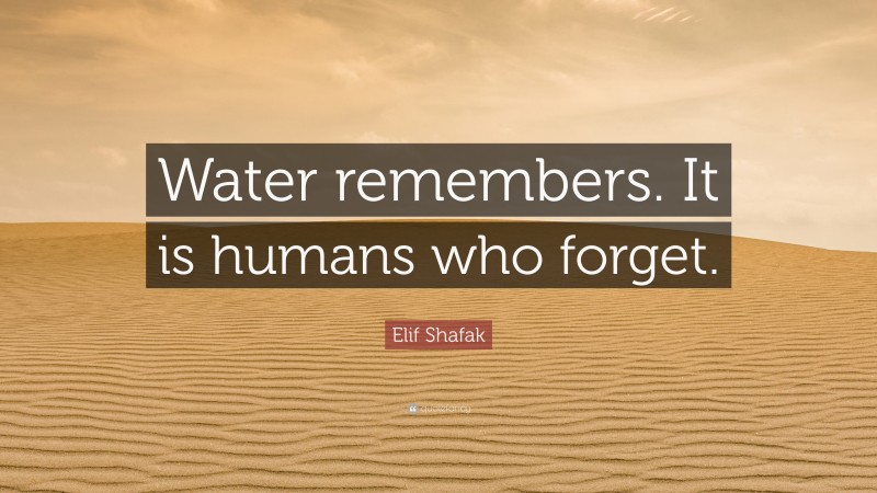 Elif Shafak Quote: “Water remembers. It is humans who forget.”