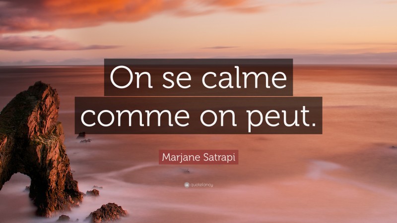 Marjane Satrapi Quote: “On se calme comme on peut.”