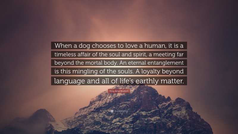 Kira Jane Buxton Quote: “When a dog chooses to love a human, it is a timeless affair of the soul and spirit, a meeting far beyond the mortal body. An eternal entanglement is this mingling of the souls. A loyalty beyond language and all of life’s earthly matter.”