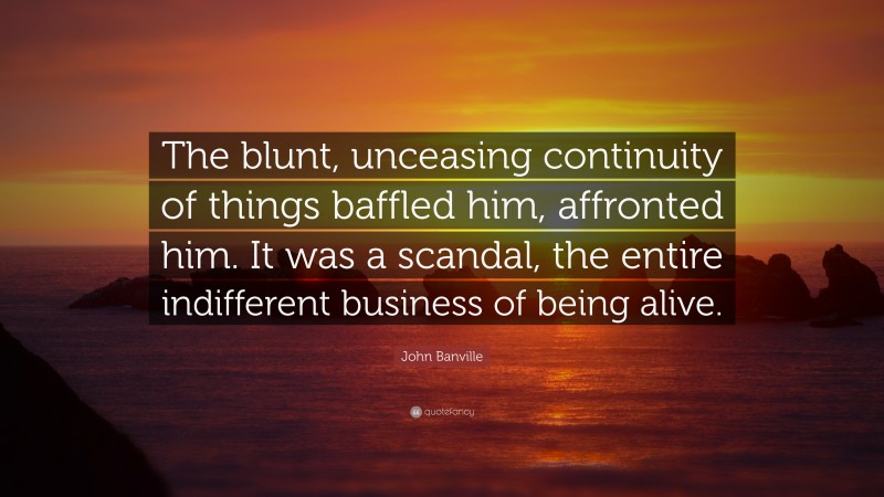 John Banville Quote: “The blunt, unceasing continuity of things baffled him, affronted him. It was a scandal, the entire indifferent business of being alive.”