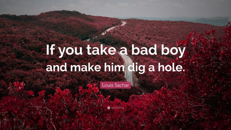 Louis Sachar Quote: “If you take a bad boy and make him dig a hole.”
