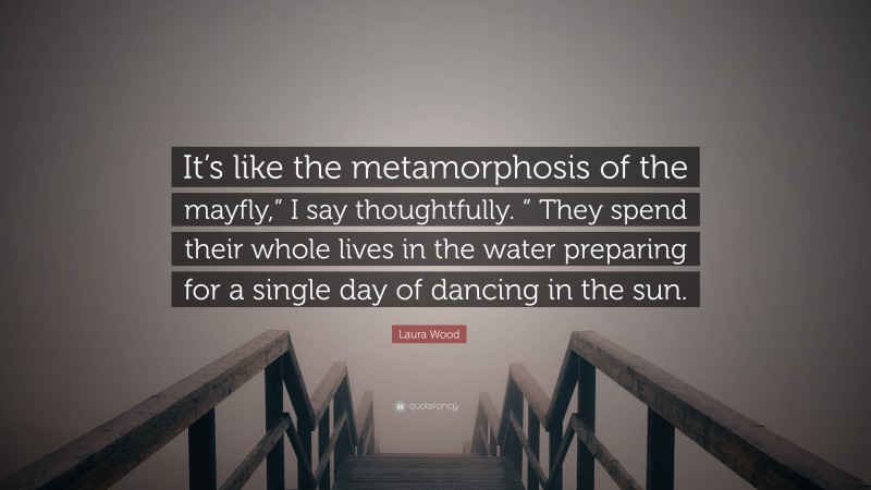 Laura Wood Quote: “It’s like the metamorphosis of the mayfly,” I say thoughtfully. ” They spend their whole lives in the water preparing for a single day of dancing in the sun.”