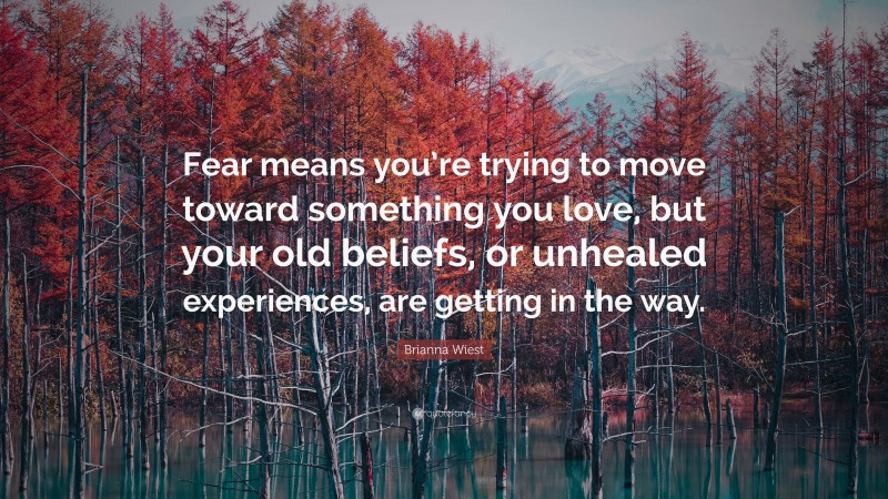 Brianna Wiest Quote: “Fear means you’re trying to move toward something you love, but your old beliefs, or unhealed experiences, are getting in the way.”